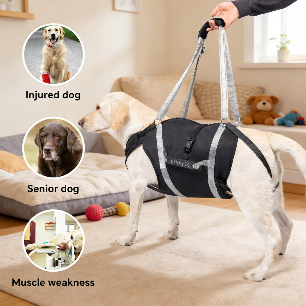 PawNest™ SupportSling – Dog Mobility & Hind Leg Support Harness