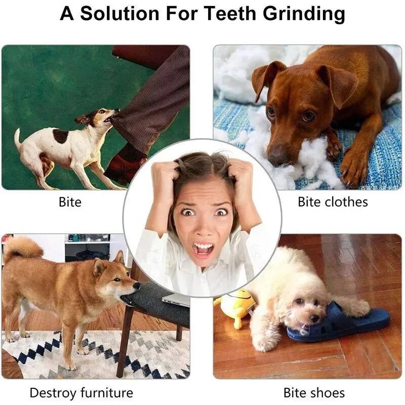 PawNest™ ChewBall Interactive Dog Treat Dispenser