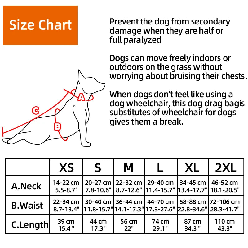 PawNest™ DragGuard – Protective Hind-Leg Drag Bag