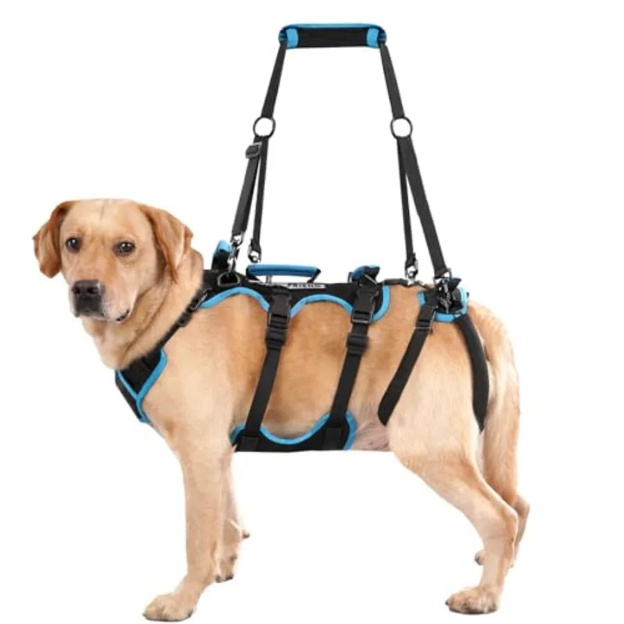 PawNest™ FullLift Pro – 2-in-1 Full-Body Senior Dog Lift Harness