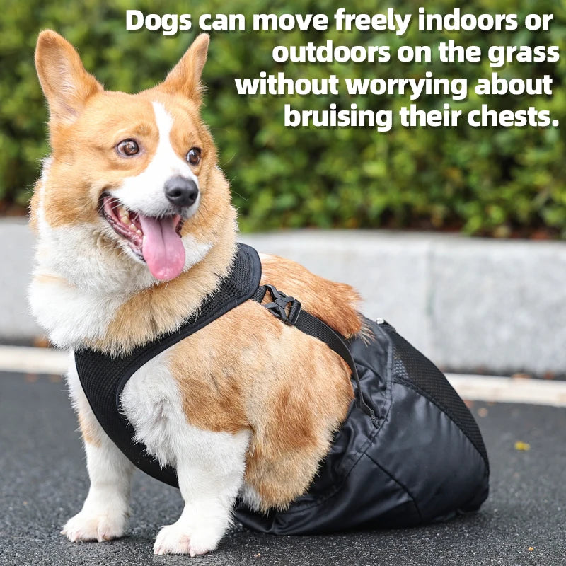PawNest™ DragGuard – Protective Hind-Leg Drag Bag