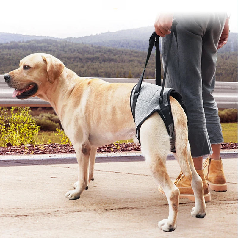 PawNest™ HipAssist Dog Lift Harness | Hip Dysplasia Support Sling