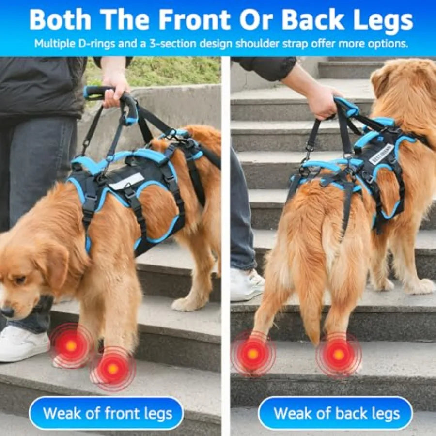 PawNest™ FullLift Pro – 2-in-1 Full-Body Senior Dog Lift Harness