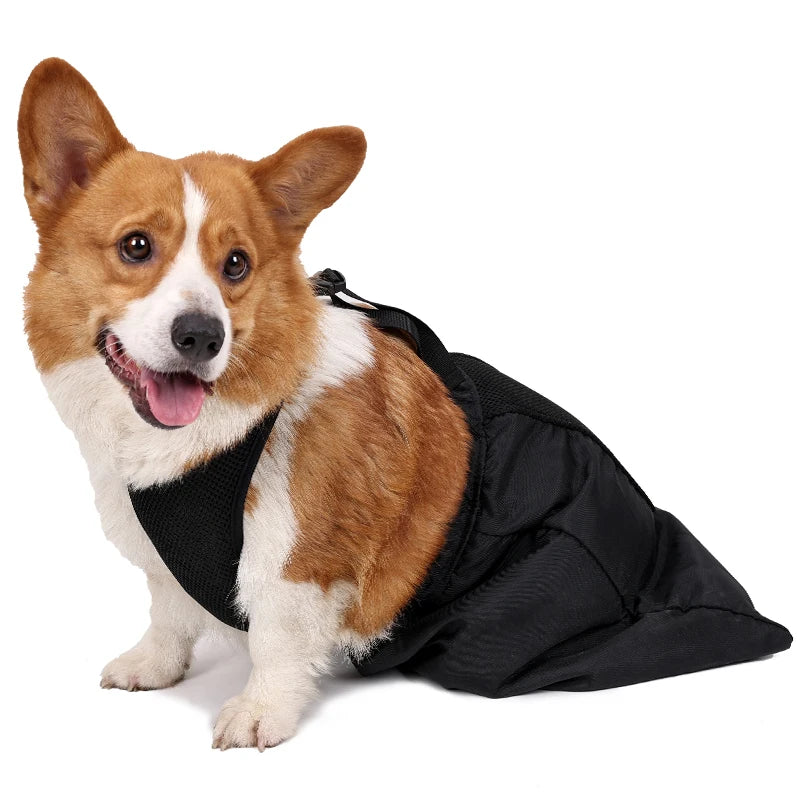 PawNest™ DragGuard – Protective Hind-Leg Drag Bag