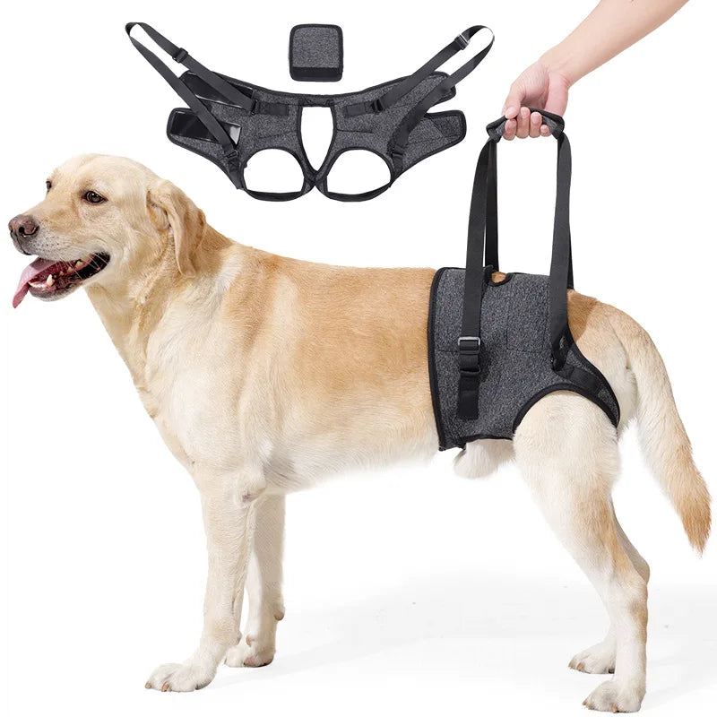 PawNest™ HipAssist Dog Lift Harness | Hip Dysplasia Support Sling