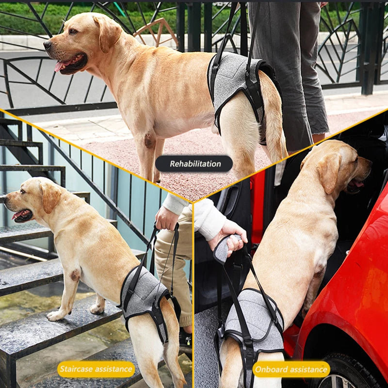 PawNest™ HipAssist Dog Lift Harness | Hip Dysplasia Support Sling
