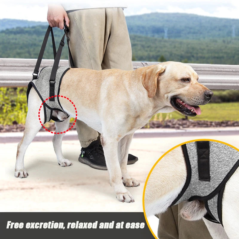 PawNest™ HipAssist Dog Lift Harness | Hip Dysplasia Support Sling