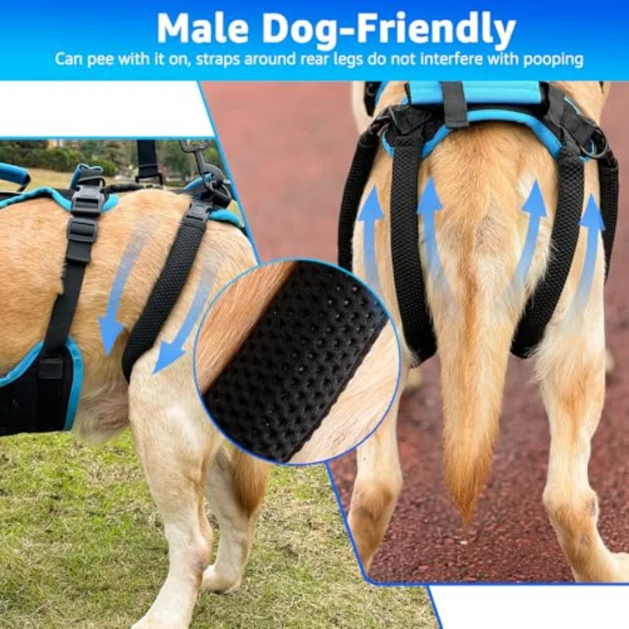 PawNest™ FullLift Pro – 2-in-1 Full-Body Senior Dog Lift Harness