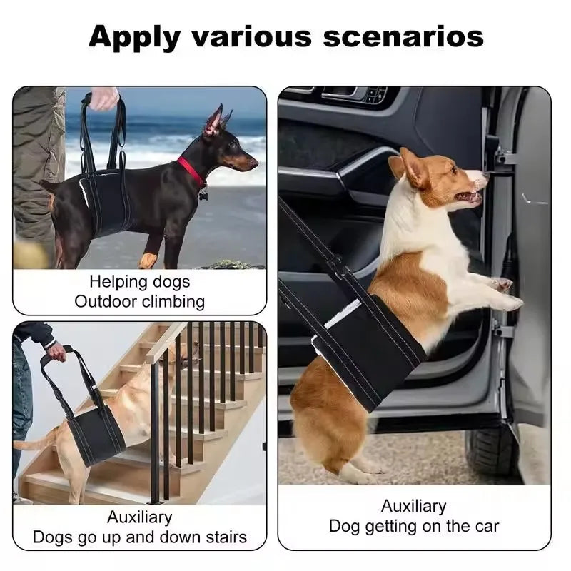 PawNest™ SupportLift Rear Leg Support Sling – Adjustable Dog Lift Harness