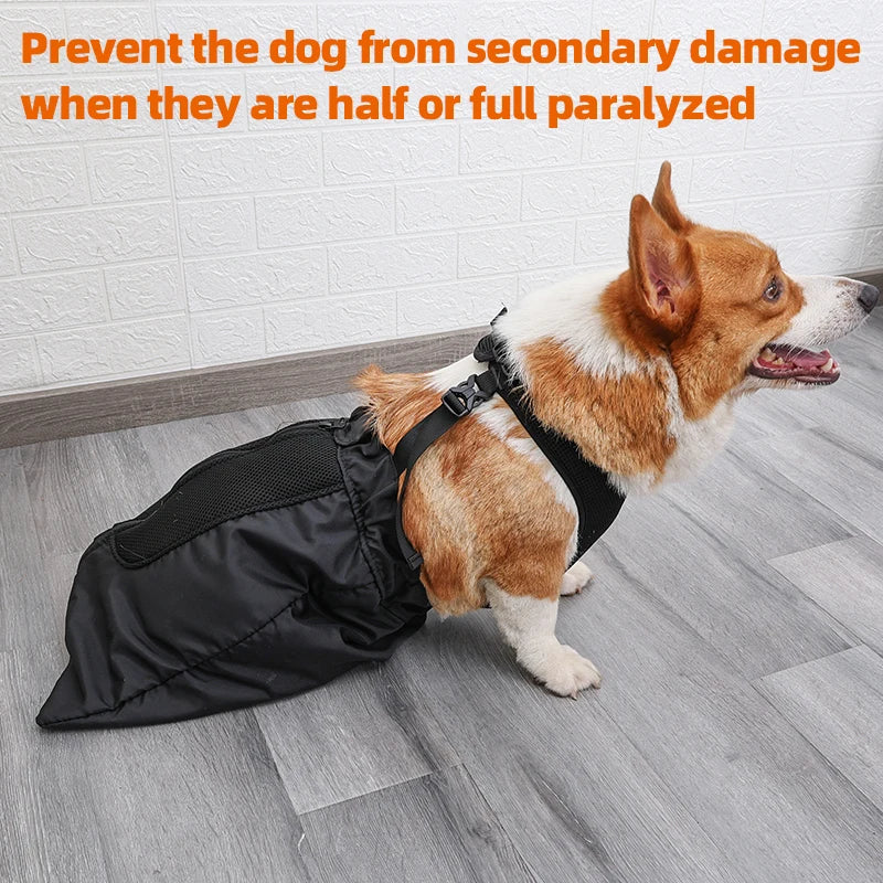 PawNest™ DragGuard – Protective Hind-Leg Drag Bag