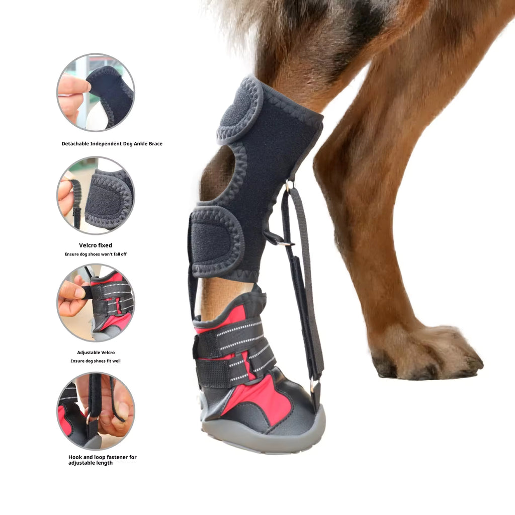 PawNest™ ToeLift Dog Brace – Anti-Knuckling Support for Dragging Paws