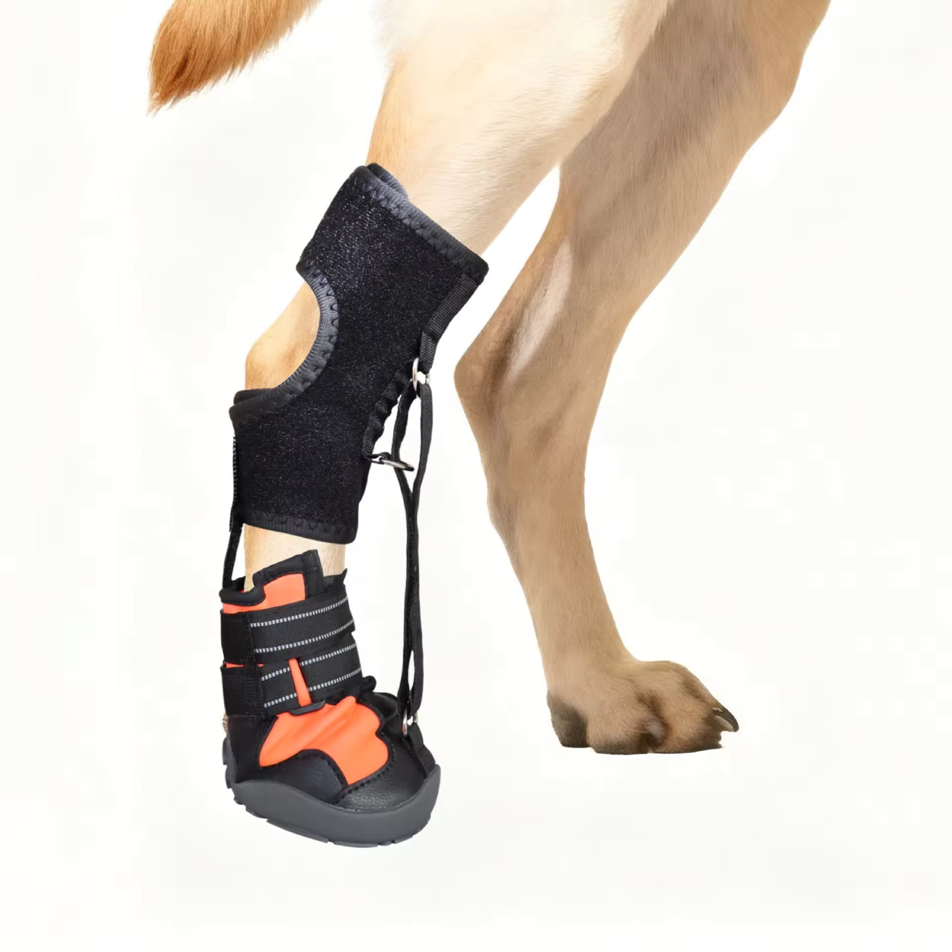 PawNest™ ToeLift Dog Brace – Anti-Knuckling Support for Dragging Paws