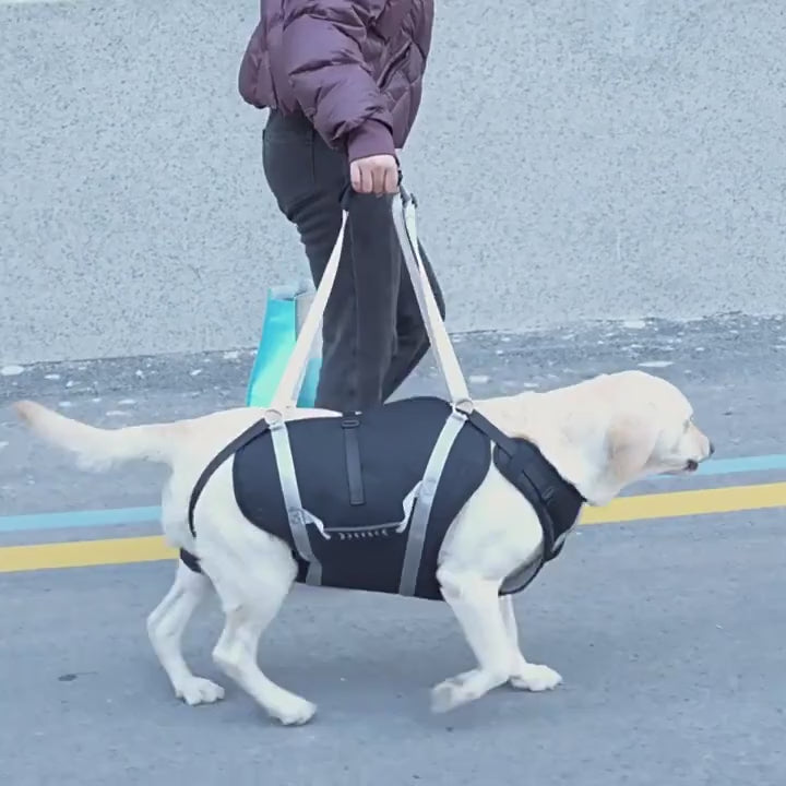 PawNest™ SupportSling – Dog Mobility & Hind Leg Support Harness