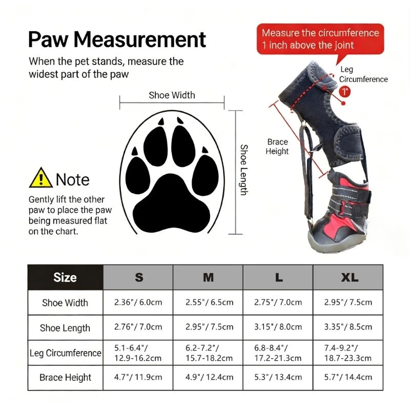 PawNest™ ToeLift Dog Brace – Anti-Knuckling Support for Dragging Paws