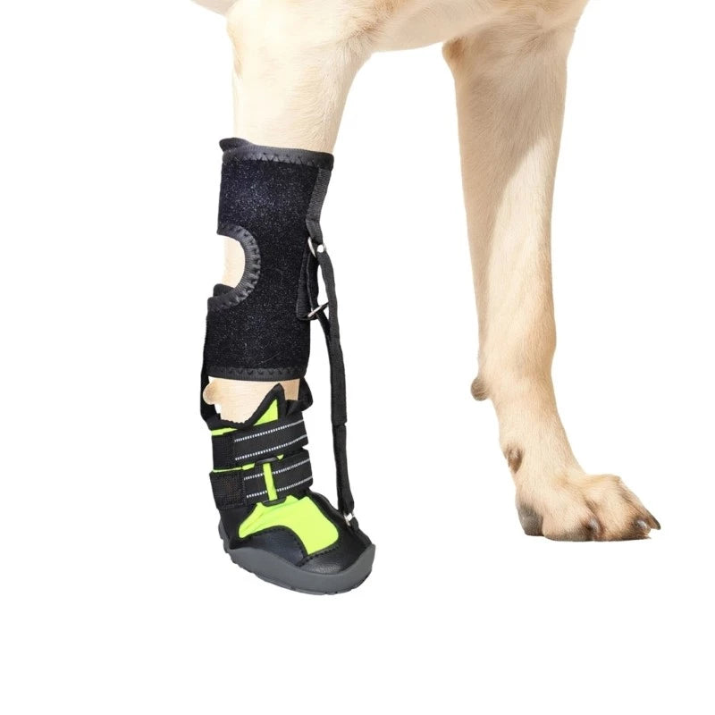 PawNest™ ToeLift Dog Brace – Anti-Knuckling Support for Dragging Paws